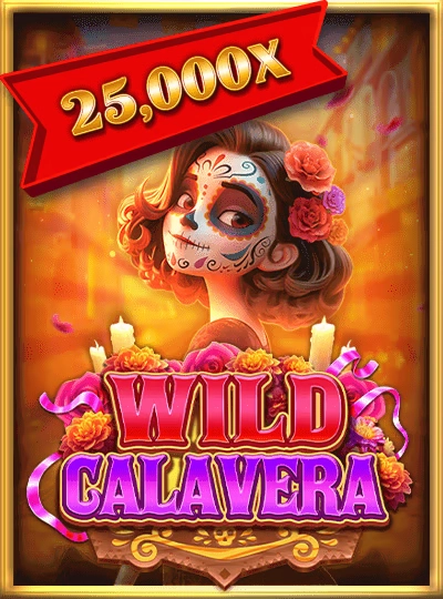 shwecasino shwecasino